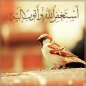 الصورة الرمزية روح الطيبة
