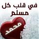 الصورة الرمزية غهدة