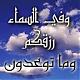 الصورة الرمزية ملك الكلمة
