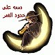   rawanmoon14