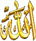 الصورة الرمزية شبل المسجد